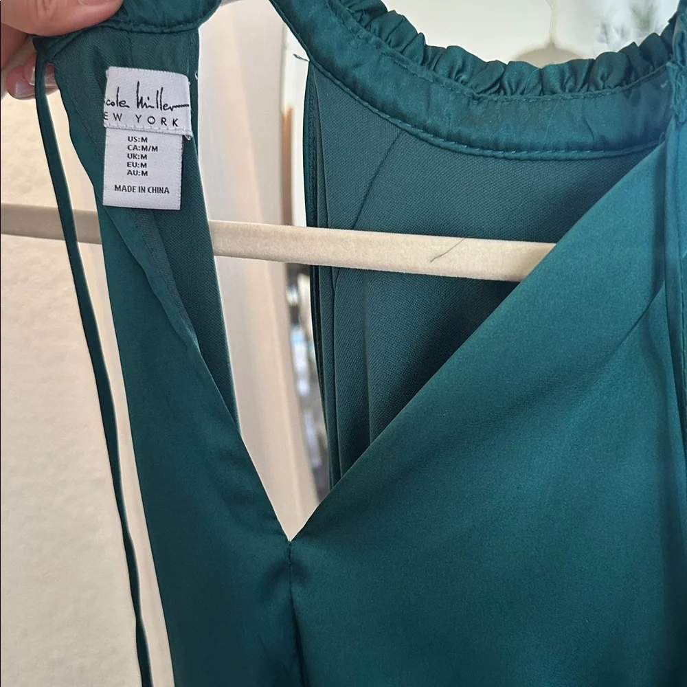 Nicole Miller Teal Sleeveless Dress - Picture 9 of 10